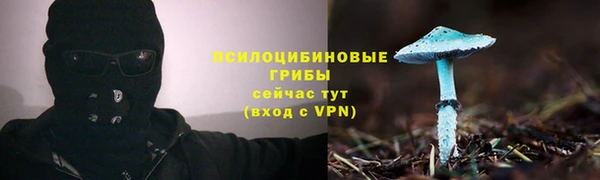 кокс Волоколамск