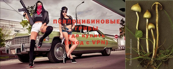 соль ск Володарск